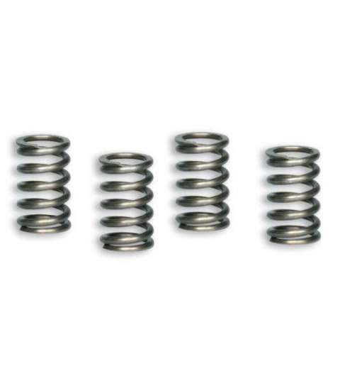MUELLES EMBRAGUE ORIGINAL PIT BIKE MALOSSI R: 2913126