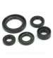 JUEGO DE RETENES MOTOR SPI SUZUKI GN125 / GS 125 R: 040920F