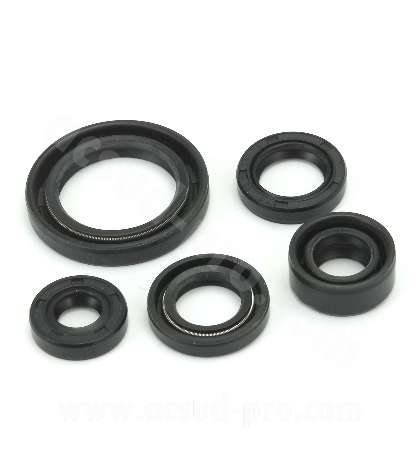 JUEGO DE RETENES MOTOR SPI SUZUKI GN125 / GS 125 R: 040920F
