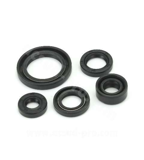 JUEGO DE RETENES MOTOR SPI SUZUKI GN125 / GS 125 R: 040920F