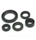 JUEGO DE RETENES MOTOR SPI SUZUKI GN 125 / GS 125 R: 040920F