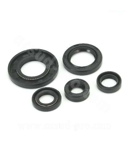 JUEGO RETENES MOTOR SPI. YBR 125 ( JUEGO DE 5 RETENES ). R: 040920D