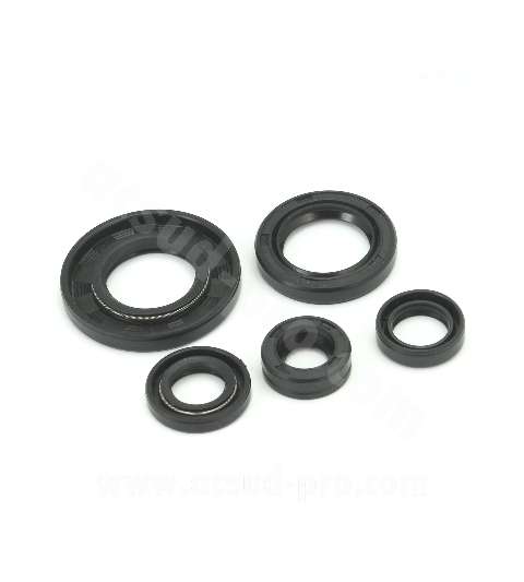 JUEGO RETENES MOTOR SPI. YBR 125 ( JUEGO DE 5 RETENES ). R: 040920D
