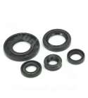 JUEGO RETENES MOTOR SPI. YBR 125 ( JUEGO DE 5 RETENES ). R: 040920D
