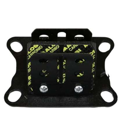 CAJA LÁMINAS DE CARBONO VL6 MOTOR AM6, NSR 75 - MALOSSI - R: 274235C