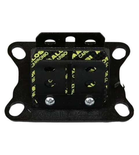 CAJA LÁMINAS DE CARBONO VL6 MOTOR AM6, NSR 75 - MALOSSI - R: 274235C