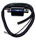BOBINA DE ALTA APRILIA/YAMAHA/PEUGEOT/HONDA/KYMCO 50 - SGR - R: 04322611