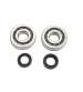 KIT RODAMIENTOS Y RETENES PIAGGIO / GILERA SCOOTER 50 TUNE R: 082303