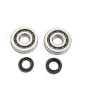 KIT RODAMIENTOS Y RETENES CIGUEÑAL PIAGGIO / GILERA SCOOTER 50 TUNE R: 082303