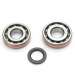 KIT RODAMIENTOS Y RETENES YAMAHA X MAX 250 / MAJESTY 250 R: 082313