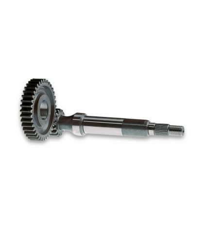 DESARROLLO EJE PRIMARIO, PIÑÓN PIAGGIO ZIP FAST RIDER - MALOSSI - R: 677385