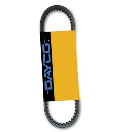 CORREA ATLANTIS / HUNTER / PREDATOR 50 DAYCO R: 7192