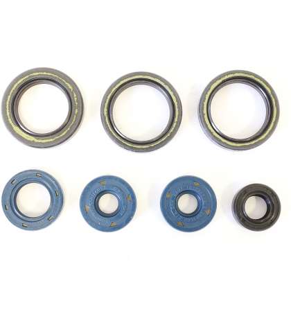 JUEGO RETENES DE MOTOR APRILIA RS 125 ROTAX 122 ATHENA R: P400010400013