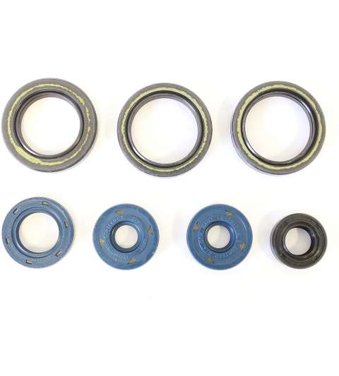 JUEGO RETENES DE MOTOR APRILIA RS 125 ROTAX 122 ATHENA R: P400010400013