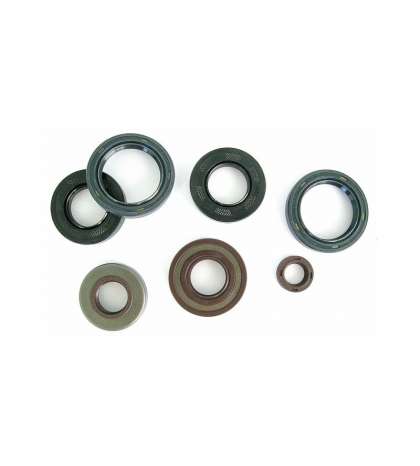 KIT RETENES MOTOR APRILIA RS 125 ( ROTAX 123 ) ATHENA R: P400010400012