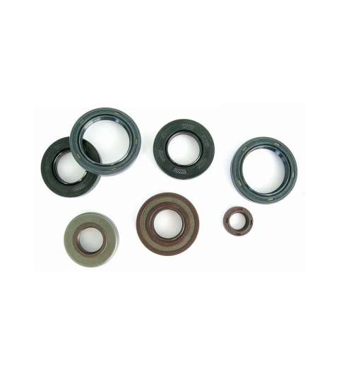 KIT RETENES MOTOR APRILIA RS 125 ( ROTAX 123 ) ATHENA R: P400010400012
