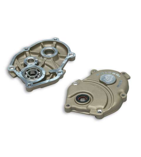 TAPA CUBREDESMULTIPLICADOR MINARELLI SCOOTER - MALOSSI - R: 2515482