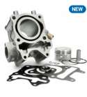 CILINDRO HONDA SH 125 13-17 / PCX 125 13-19 MK4 METRAKIT R: P806H0203