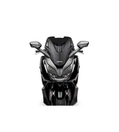 CUPULA MALOSSI SPORT SCREEN HONDA FORZA 125 E5 21 R: 4519198