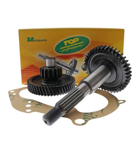 TRANSMISIÓN SECUNDARIA MINARELLI - TOP PERFORMANCES - R: 990875P