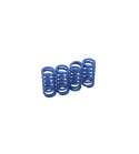 KIT DE MUELLES EMBRAGUE ( MEDIANO ) KRM MINARELLI AM 6 R: KR013F