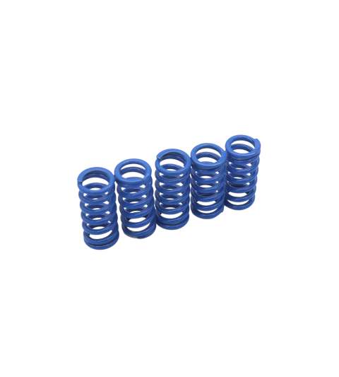 KIT DE MUELLES MEDIANO KRM DERBI R: KR016F