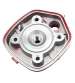 EQUIPOMOTOR MVT IRON MAX ( 49 C.C. ) HIERRO AM6 R: 033007