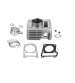CILINDRO YAMAHA YBR 125, RIEJU TANGO, RS 2, MRT 125, DERBI SENDA 125 4 TIEMPOS TNT R: 030330
