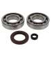 KIT RODAMIENTOS Y RETENES SUZUKI BURGMAN 125 02/10 ATHENA R: P400510444005