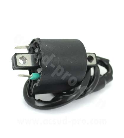 BOBINA DE ALT YAMAHA XMAX 400 / HONDA SH 125 /150 /300 TNT R: 180306