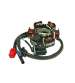 STATOR MOTOR GY6 125/150 C.C. ( 6 BOBINAS ) 101 OCTANE R: 21121413 / GY15039