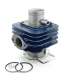 CILINDRO PIAGGIO THYFOON AIRE - CARENZI - R: 031000C