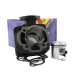 CILINDRO HIERRO Ø40 MM ( 49 C.C. ) DERBI HUNTER - MOTOR DERBI - METRAKIT R: 804D2110