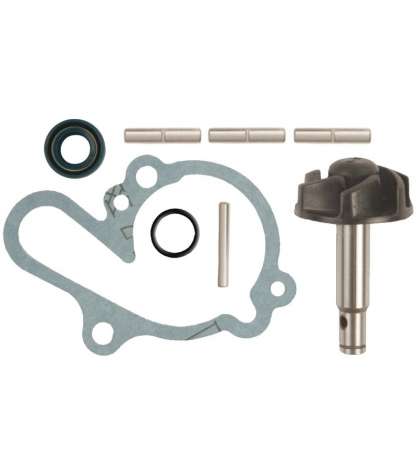KIT REPARACIÓN BOMBA AGUA MINARELLI AM 6 - TECNIUM - R: 6216