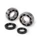 KIT RODAMIENTOS Y RETENES YAMAHA AEROX / NEO'S 100 C.C. R: NK102.98