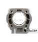 CILINDRO MINARELLI AM6 77 C.C. STAGE6 BIG RACING R: S6-7018810