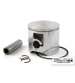 CILINDRO MINARELLI AM6 77 C.C. STAGE6 BIG RACING R: S6-7018810