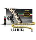 CADENA 420 136 ESLABONES ( COMPETICIÓN ) 124RH2 ORO REGINA R: 405801285