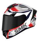 CASCO INTEGRAL ( DOBLE VISOR ) TL TYPHOON THORN SMK DECORADO BRILLO (GL136) R: D001100400GL13604