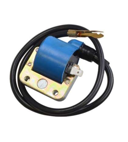 BOBINA DE ALTA ( 6 V. PLATINOS ) PIAGGIO / VESPA 50-125 BCR R: 404030080