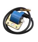 BOBINA DE ALTA ( 6 V. PLATINOS ) PIAGGIO / VESPA 50-125 BCR R: 404030080