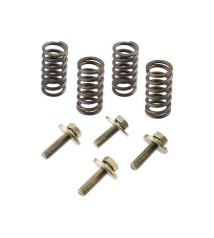 KIT MUELLES Y TORNILLOS EMBRAGUE MINARELLI AM 6 R: 121950150