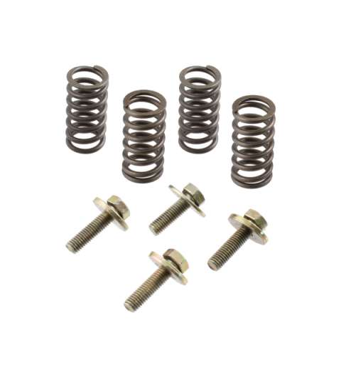 KIT MUELLES Y TORNILLOS EMBRAGUE MINARELLI AM 6 R: 121950150