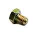 TORNILLO VACIADO ACEITE MINARELLI AM 6 R: RJ54909119