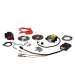ENCENDIDO ROTOR INTERNO PIAGGIO SCOOTER - MALOSSI - R: 5515001