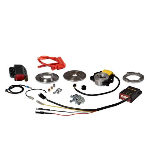 ENCENDIDO ROTOR INTERNO PIAGGIO SCOOTER - MALOSSI - R: 5515001