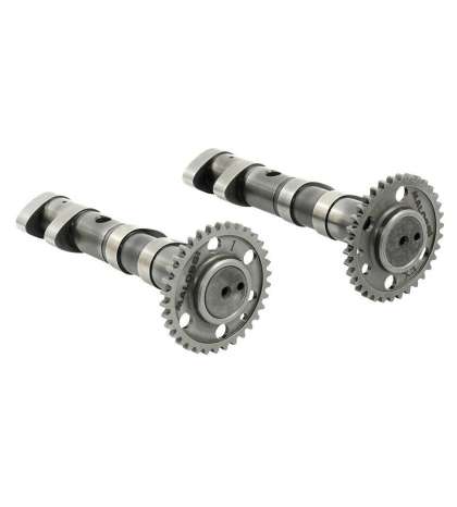ÁRBOL DE LEVAS MALOSSI POWER CAM DOUBLE YAMAHA T-MAX 530 R: 5915981