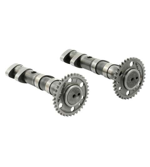 ÁRBOL DE LEVAS MALOSSI POWER CAM DOUBLE YAMAHA T-MAX 530 R: 5915981