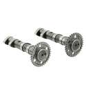 ÁRBOL DE LEVAS MALOSSI POWER CAM DOUBLE YAMAHA T-MAX 530 R: 5915981