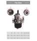 CARBURADOR DELLORTO PHBL 22 AS 2707 C/PALANCA R: 91102707